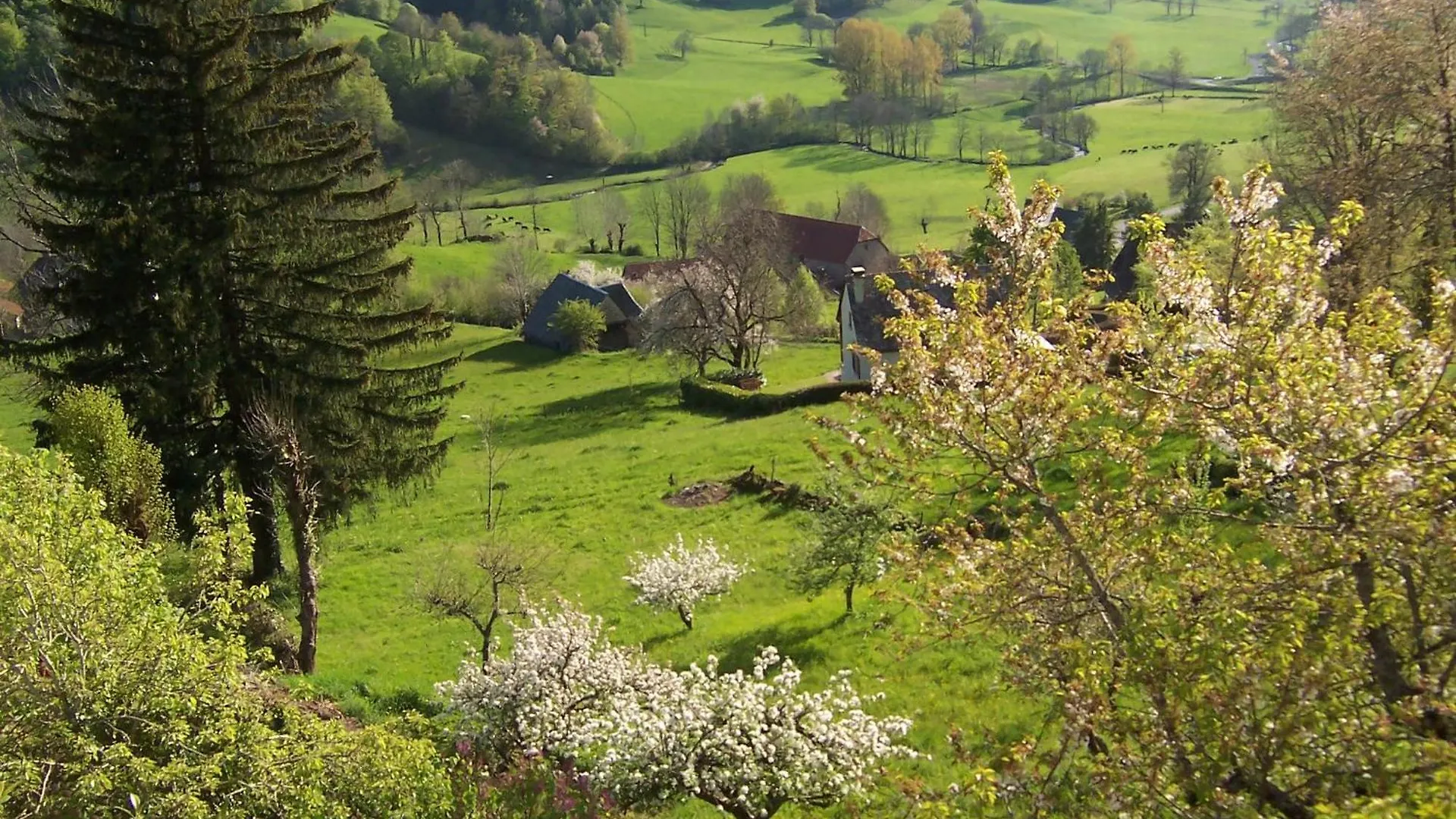 Auberge Hotel De Tournemire - Cantal 3*, Tournemire (Cantal)